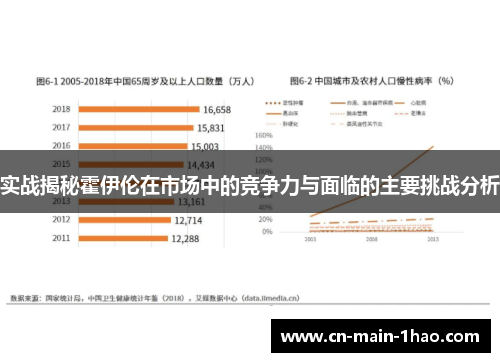 实战揭秘霍伊伦在市场中的竞争力与面临的主要挑战分析