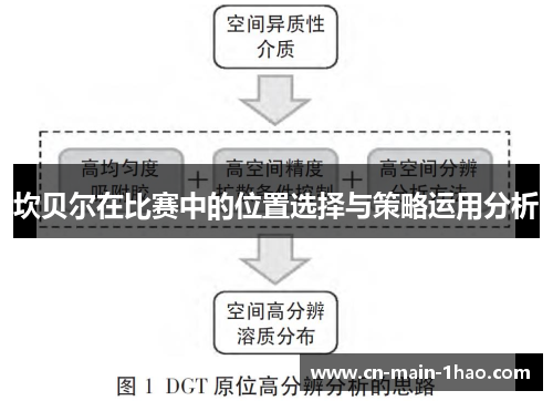 坎贝尔在比赛中的位置选择与策略运用分析