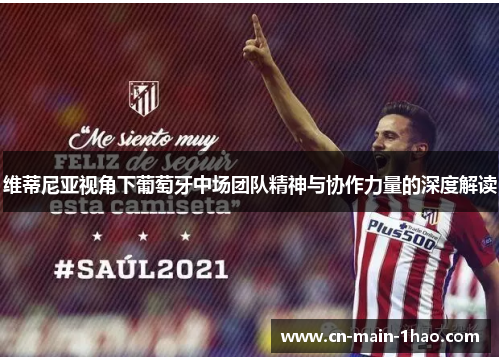 维蒂尼亚视角下葡萄牙中场团队精神与协作力量的深度解读