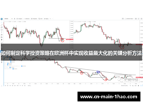 如何制定科学投资策略在欧洲杯中实现收益最大化的关键分析方法